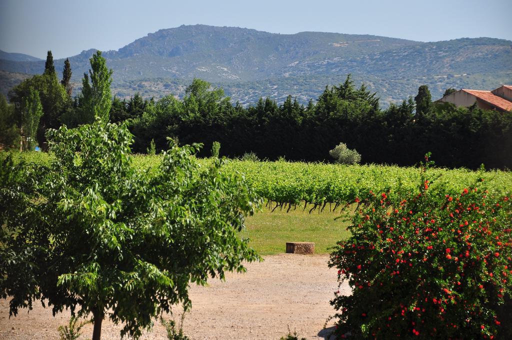 Chateau De Jonquieres - Herault Luaran gambar