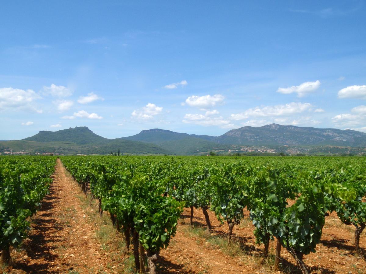 Chateau De Jonquieres - Herault Luaran gambar